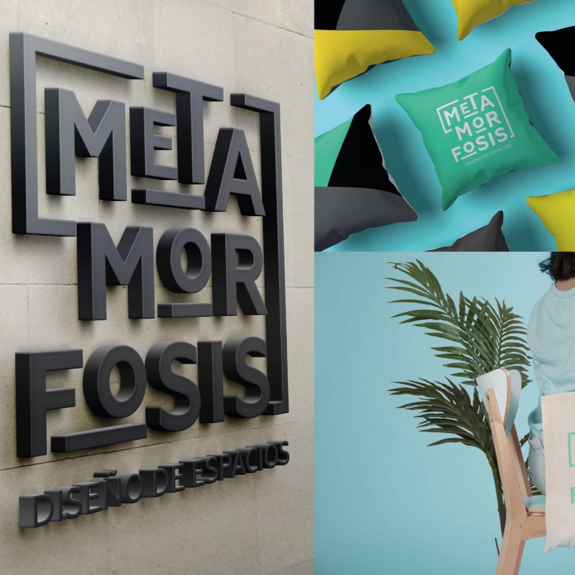 Imagen de Metamorfosis